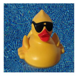 Cool Duck Hot Tub Buddy